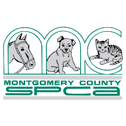 shelter logo
