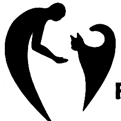 shelter logo