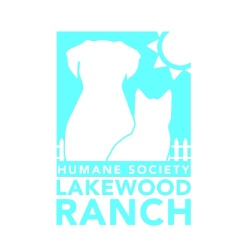 shelter logo