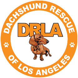 Pitman Animal Rescue Foundation