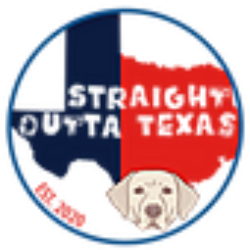 shelter logo