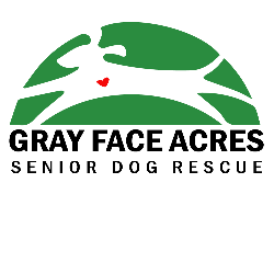 shelter logo