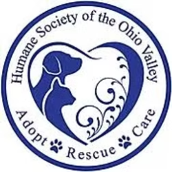 shelter logo