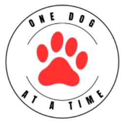 shelter logo