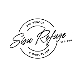 shelter logo