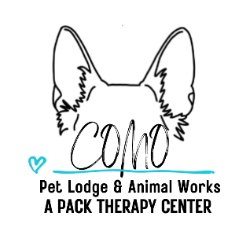 shelter logo