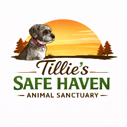Tillie's Safe Haven Inc.