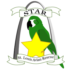 shelter logo