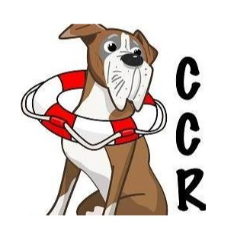 shelter logo