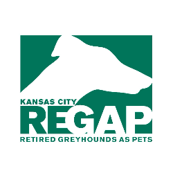 shelter logo