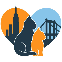 shelter logo