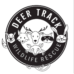 shelter logo