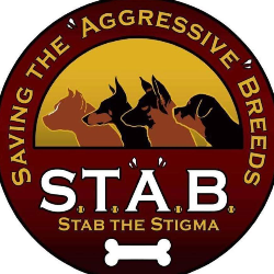 Saving the "Aggressive" Breeds Rescue