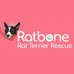 shelter logo