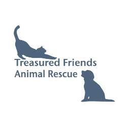 shelter logo