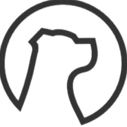 shelter logo
