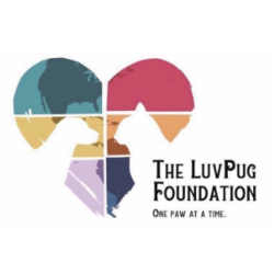 shelter logo