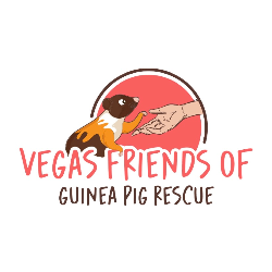 shelter logo