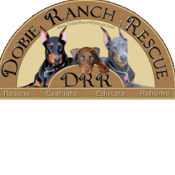 shelter logo