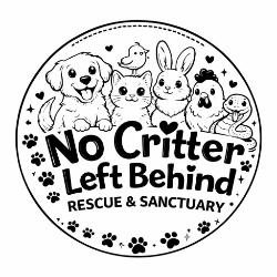 shelter logo