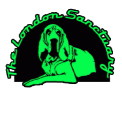 shelter logo