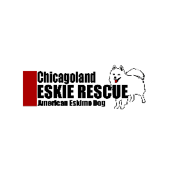 shelter logo