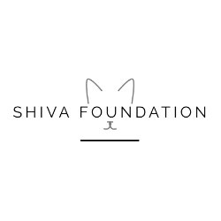 shelter logo