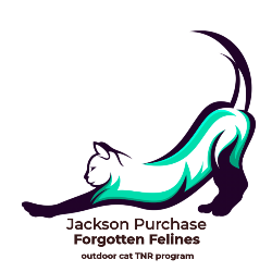 shelter logo