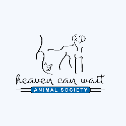 shelter logo