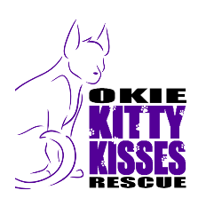 shelter logo