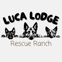 Luca Lodge Rescue Ranch Inc
