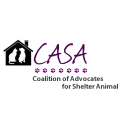 shelter logo