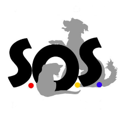 shelter logo