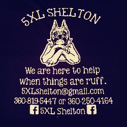 shelter logo