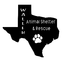 shelter logo