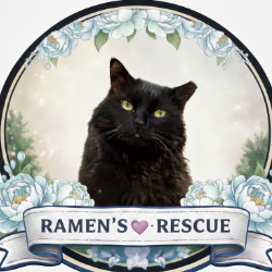 shelter logo