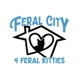 shelter logo