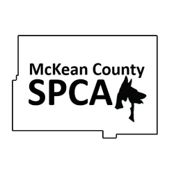 shelter logo