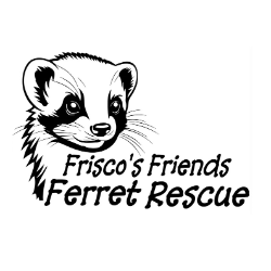 shelter logo