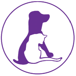 shelter logo