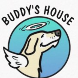 shelter logo