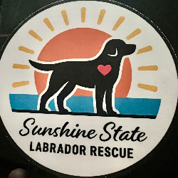 Sunshine State Labrador Rescue Inc