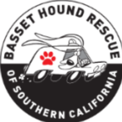 shelter logo