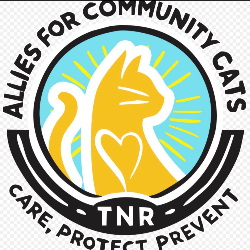 shelter logo