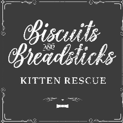 Biscuits and Breadsticks, Inc