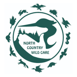 shelter logo