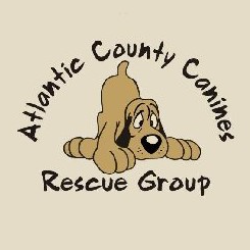 shelter logo