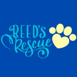 shelter logo