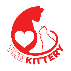 shelter logo