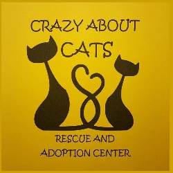 shelter logo